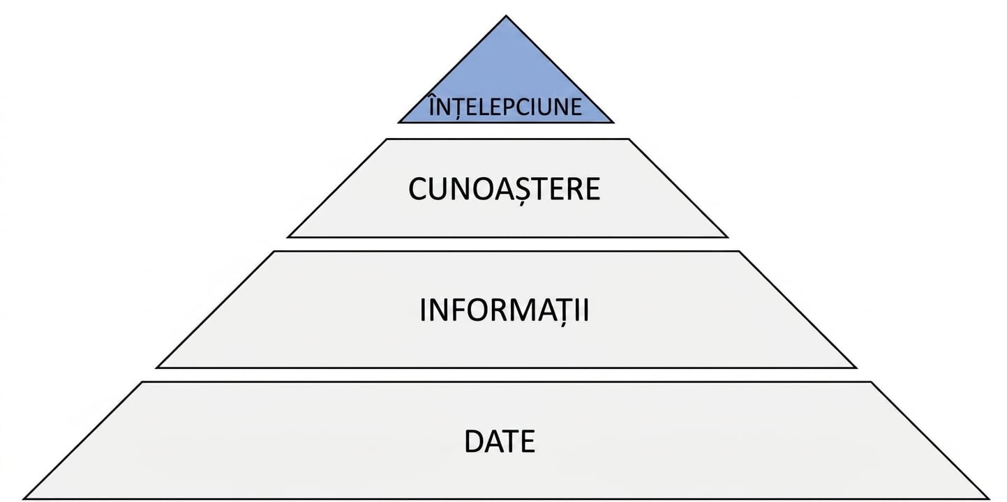 diagrama piramidei DIKW cu etapa înțelepciunii evidențiată