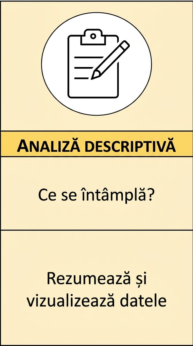 Detaliu al analiticii descriptive