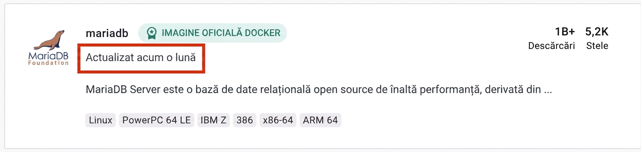Populara imagine mariaDB a fost actualizată acum mai bine de o lună.