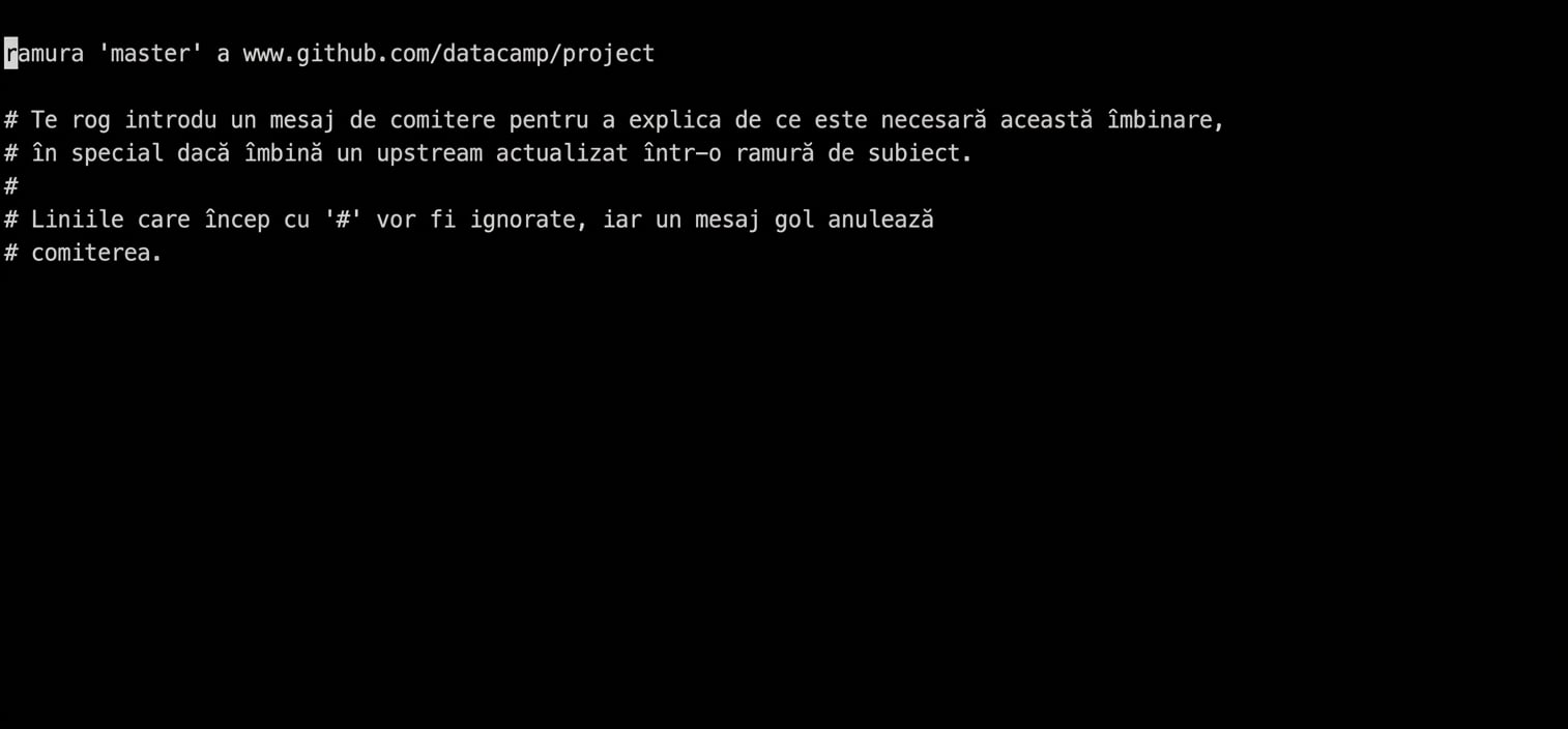 git_pull_nano_editor.gif