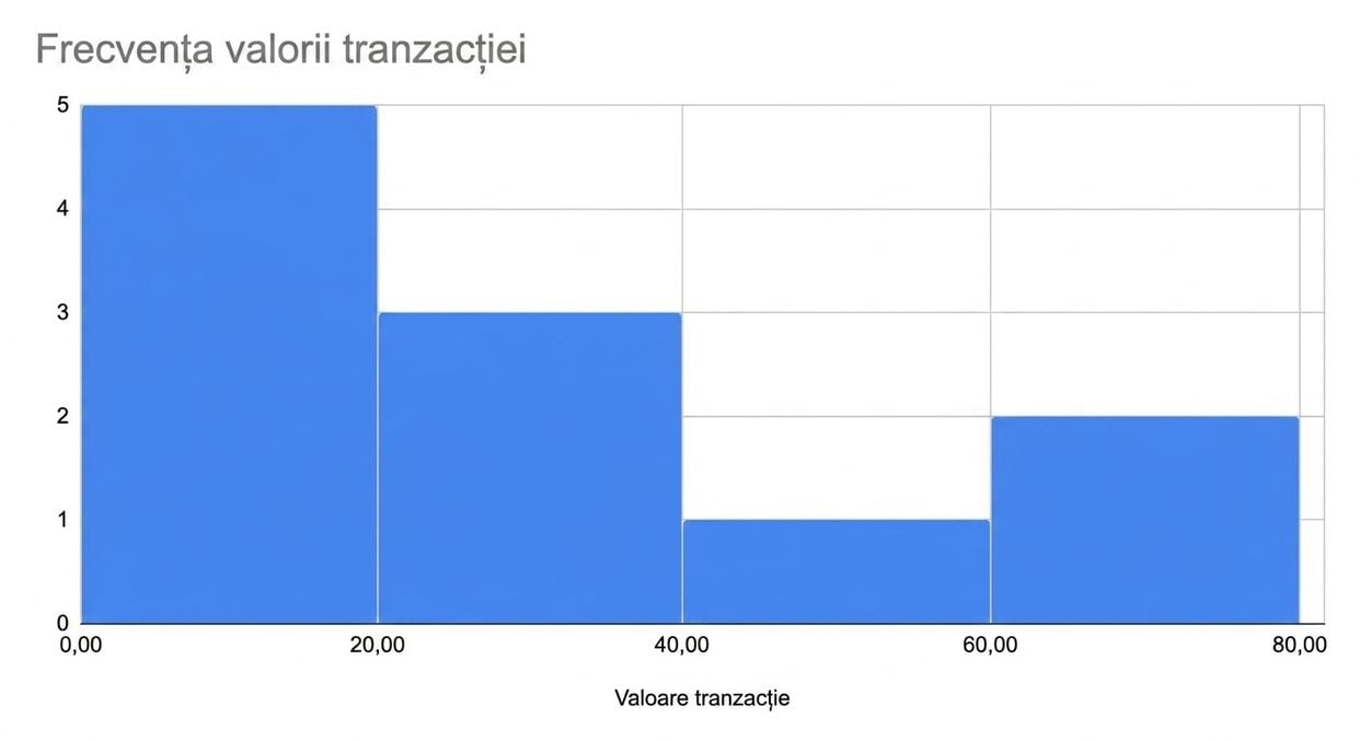 Histogramă cu frecvența valorilor tranzacțiilor