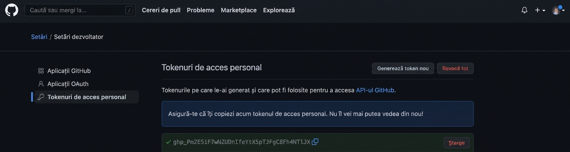 PAT afișat ca un șir de litere și cifre, pe care îl putem copia