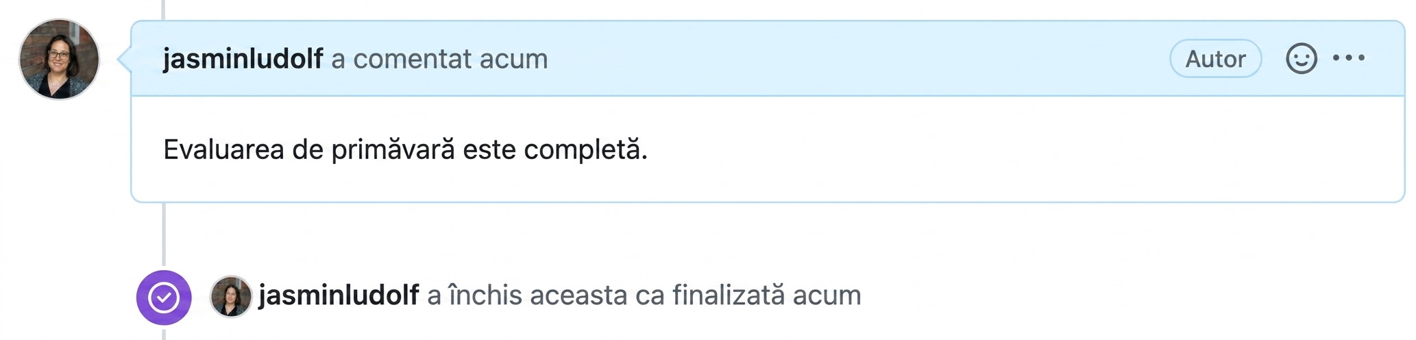 Vedere a unui issue închis