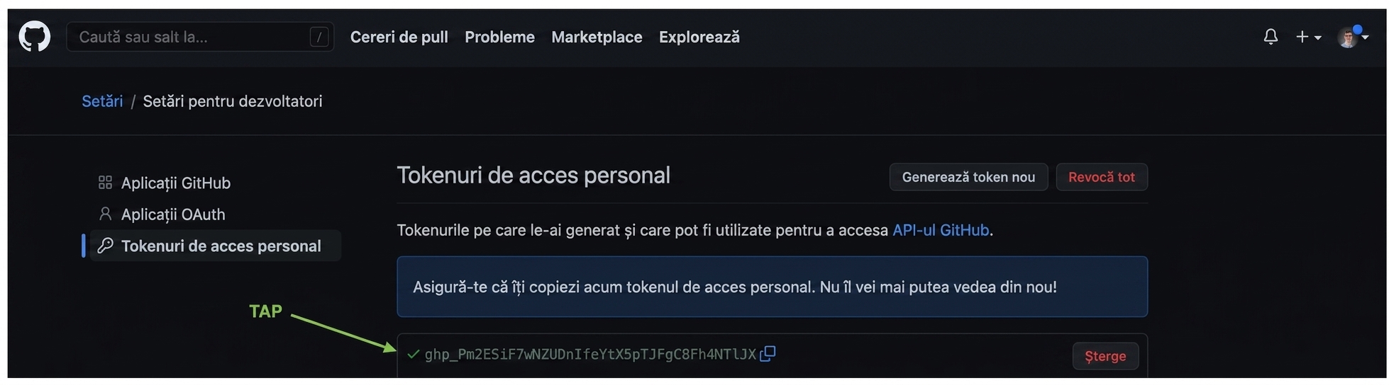 PAT evidențiat ca un șir de litere și cifre, pe care îl putem copia