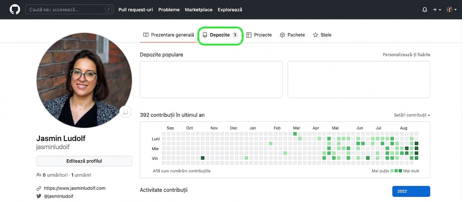 Captură de ecran a unui profil GitHub cu un cerc verde în jurul filei Repositories