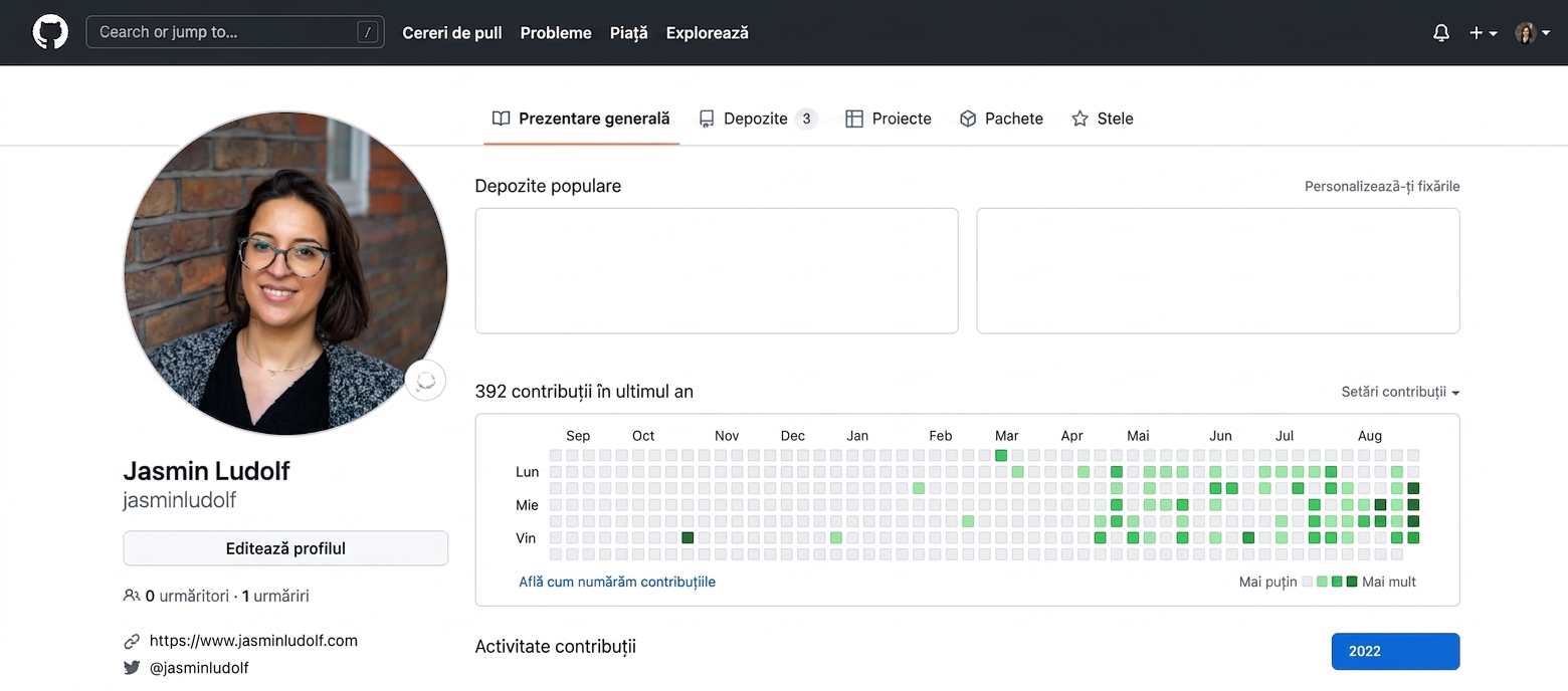 Captură de ecran a unui profil GitHub
