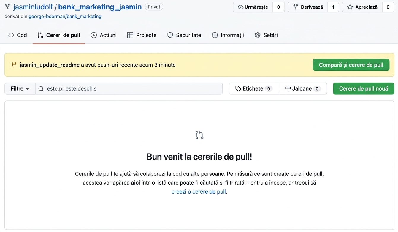 Vizualizare a filei pull requests în repo-ul bifurcat