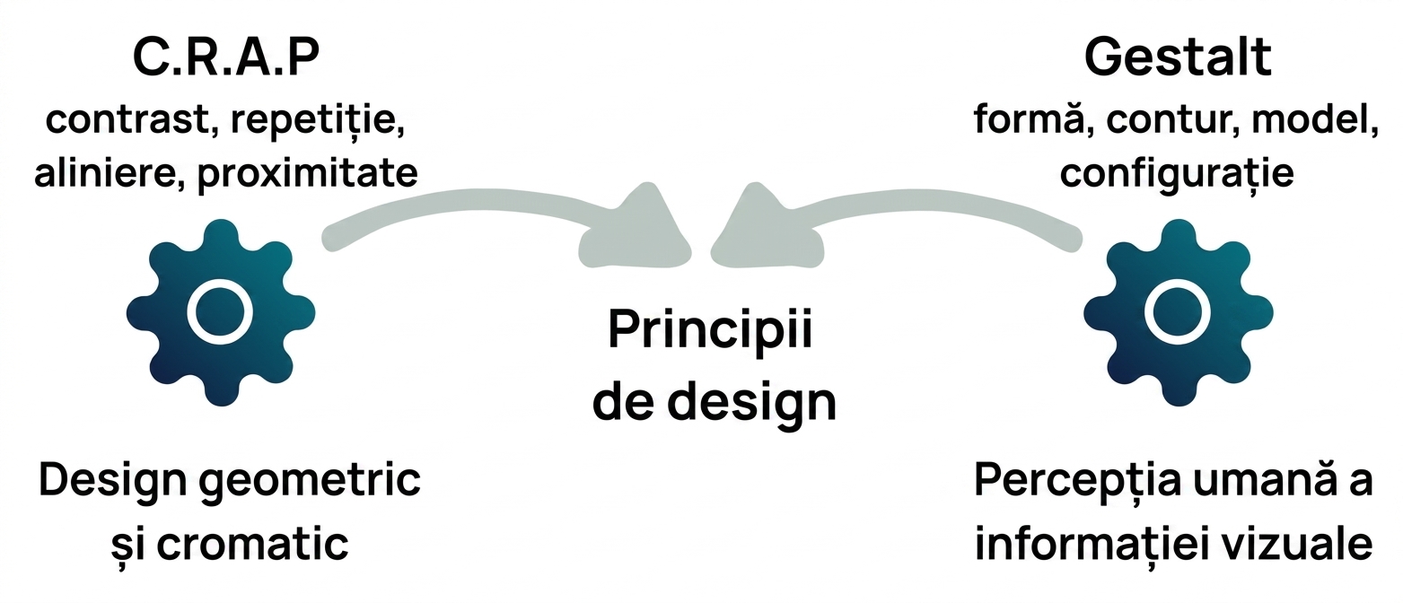 principii