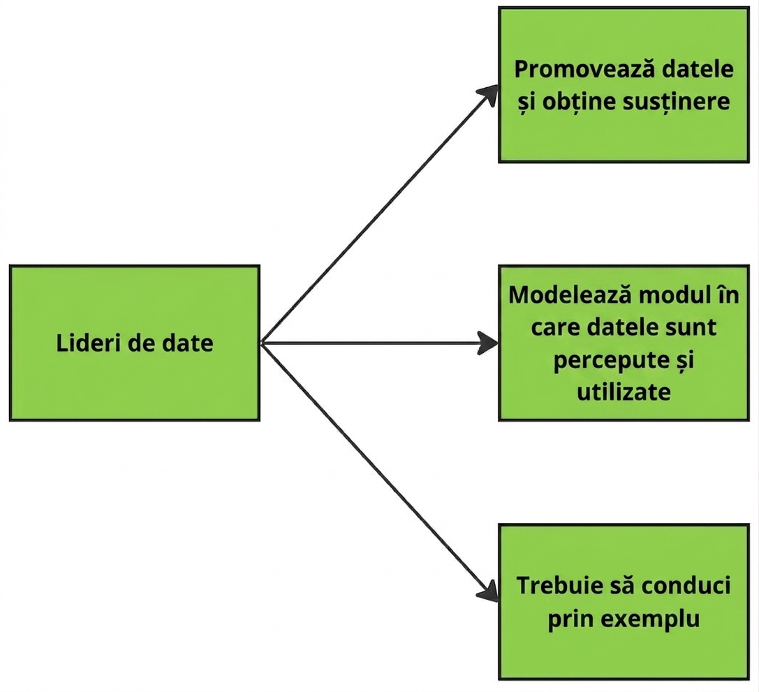 Diagramă care ilustrează responsabilitățile liderilor de date.
