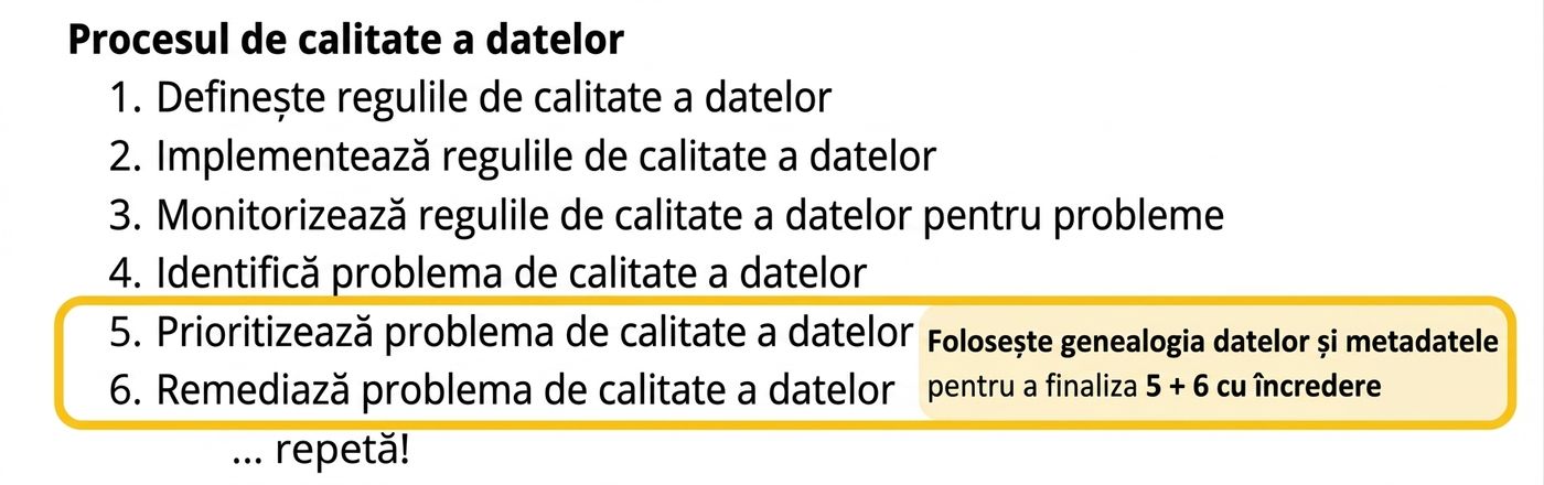 procesul de calitate a datelor cu evidențierea etapelor de triere și remediere