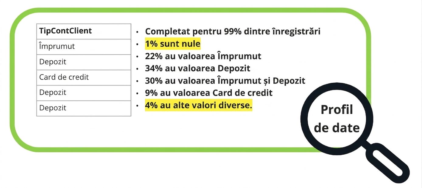 exemplu de profil de date