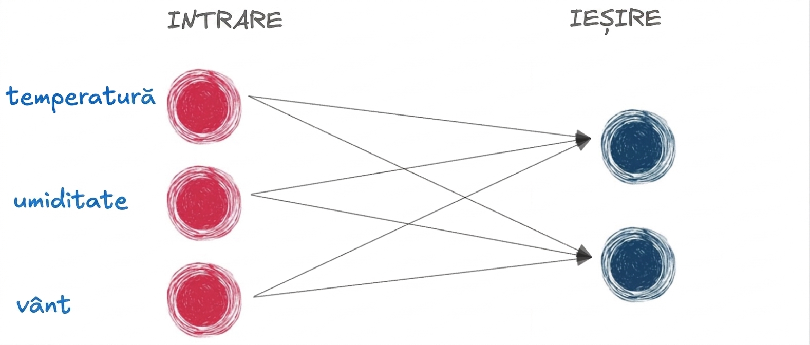 Diagramă reprezentând o rețea neuronală de bază cu intrare și ieșire