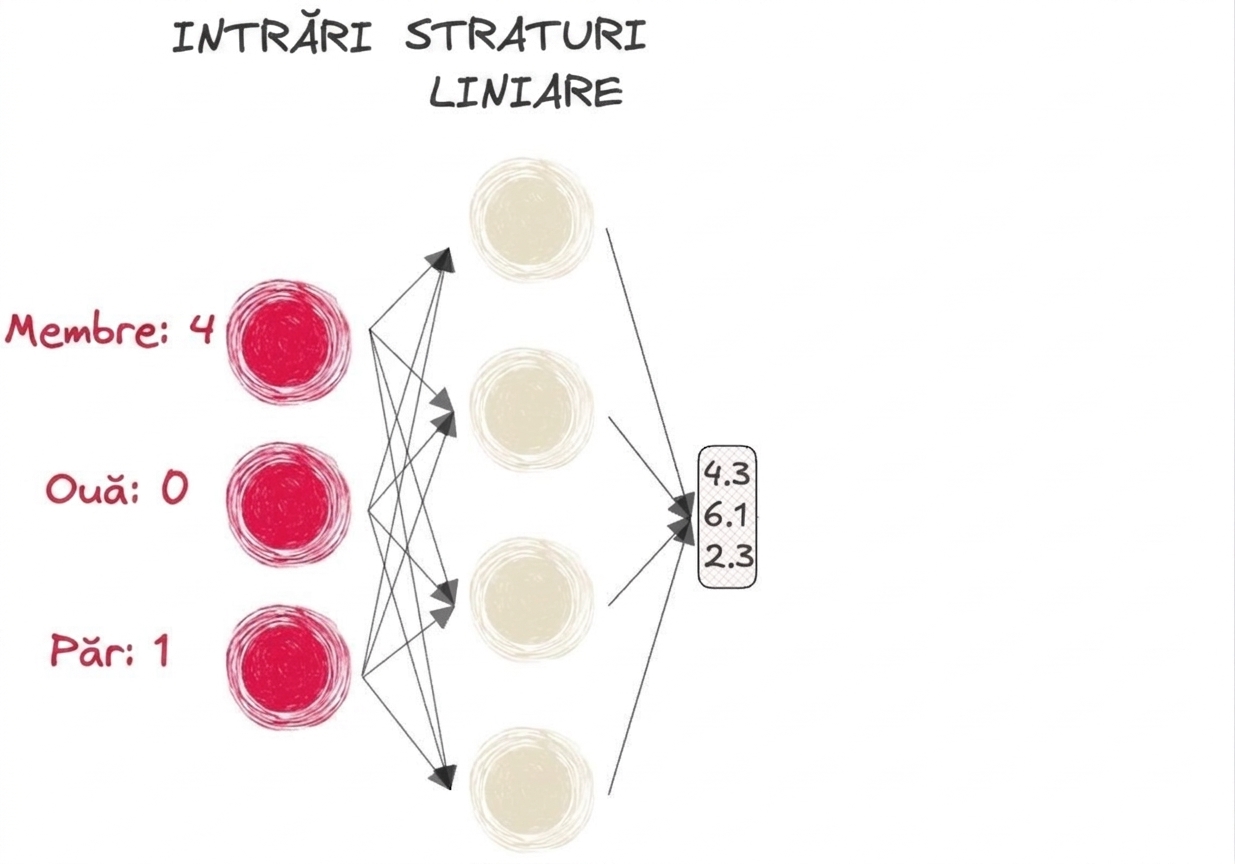 Diagramă a unei părți dintr-o rețea neurală cu intrări