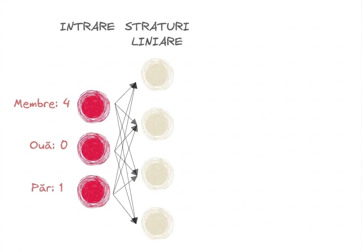 Diagramă a unei părți dintr-o rețea neurală cu intrări și straturi liniare