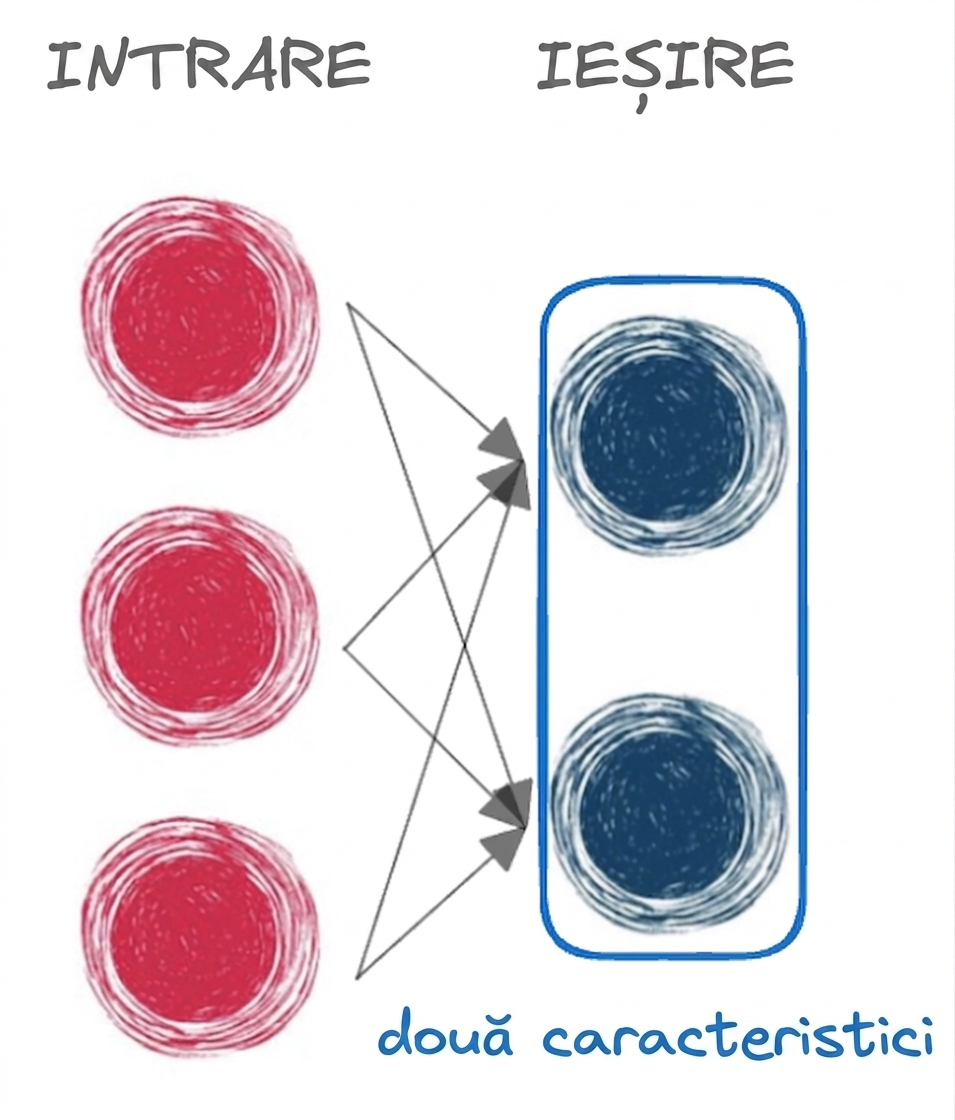 Diagramă reprezentând o rețea neuronală de bază cu intrare și ieșire