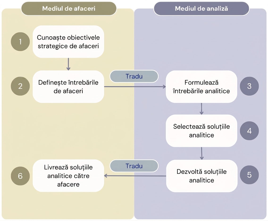 Diagramă care prezintă cei șase pași ai fluxului de lucru „Valoare din analiză", separând etapele mediului de afaceri de cele ale mediului analitic.