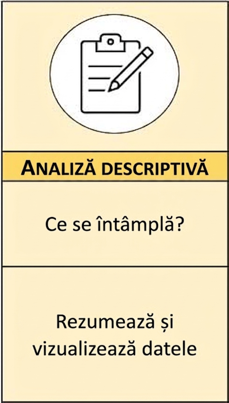 Rezumat vizual al analizei descriptive
