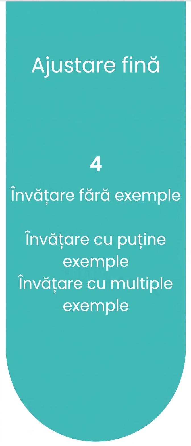 Procesul de ajustare fină