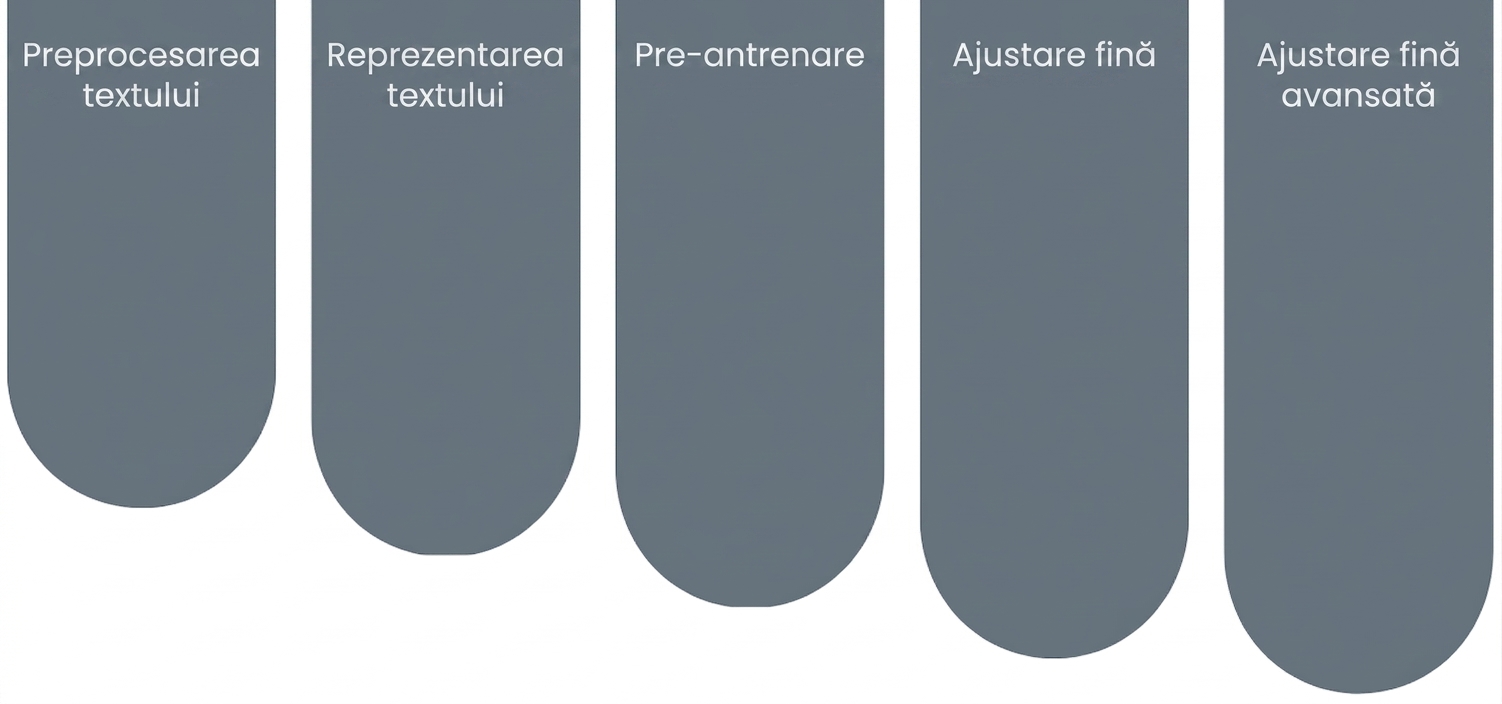 Elementele constitutive ale LLM-urilor