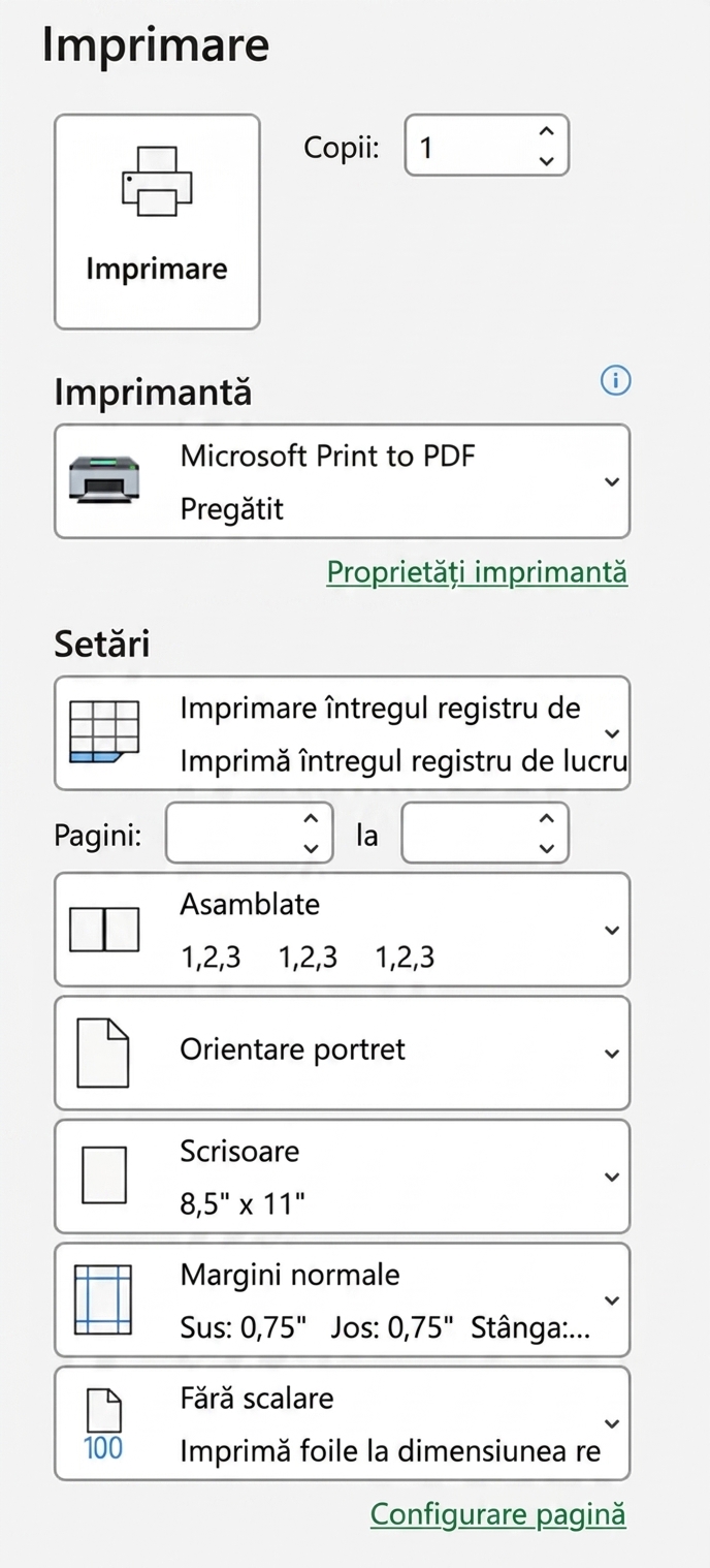 Setări de imprimare în Excel