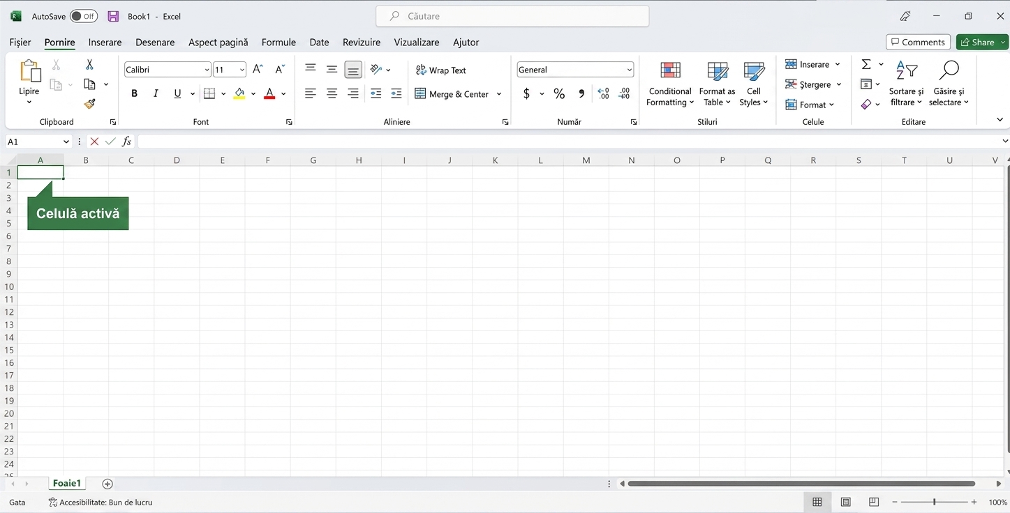 Fișier Excel cu celula activă evidențiată