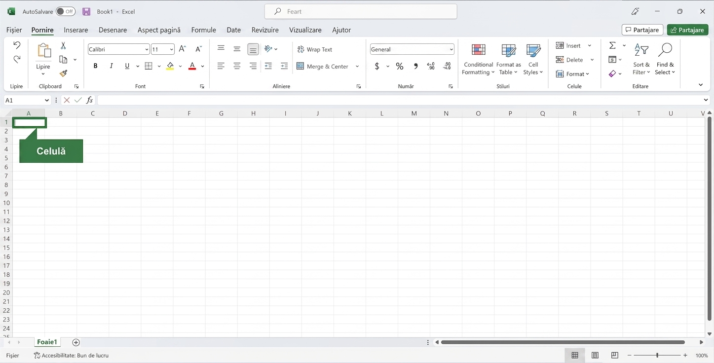Fișier Excel cu o celulă evidențiată