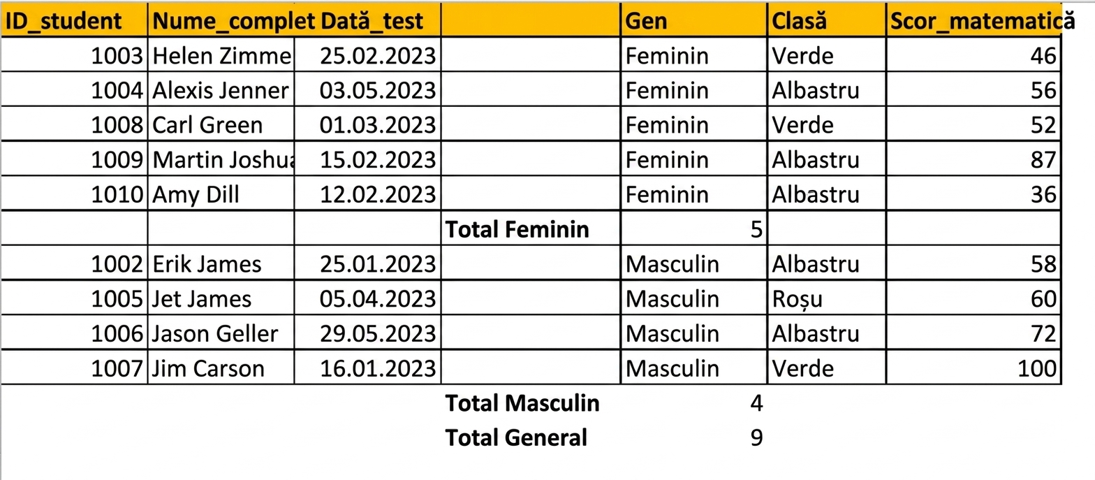Tabel cu rezultatele testelor studenților, cu numărul pe gen adăugat folosind funcția Subtotal