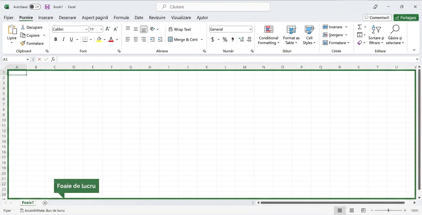 Fișier Excel cu zona foii de lucru evidențiată