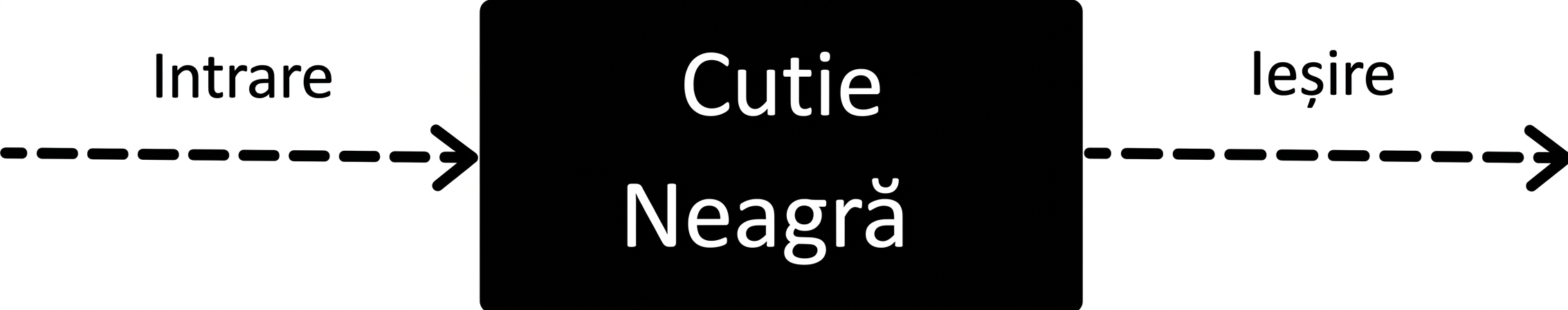 Diagramă ilustrând natura cutiei negre.