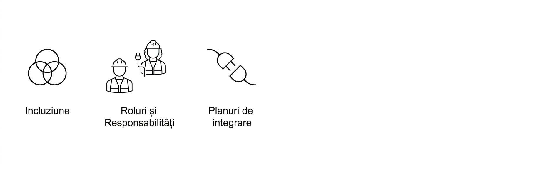 Planuri de integrare.