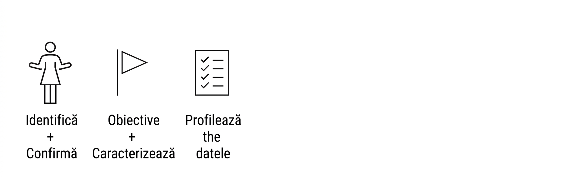 Profilarea datelor.