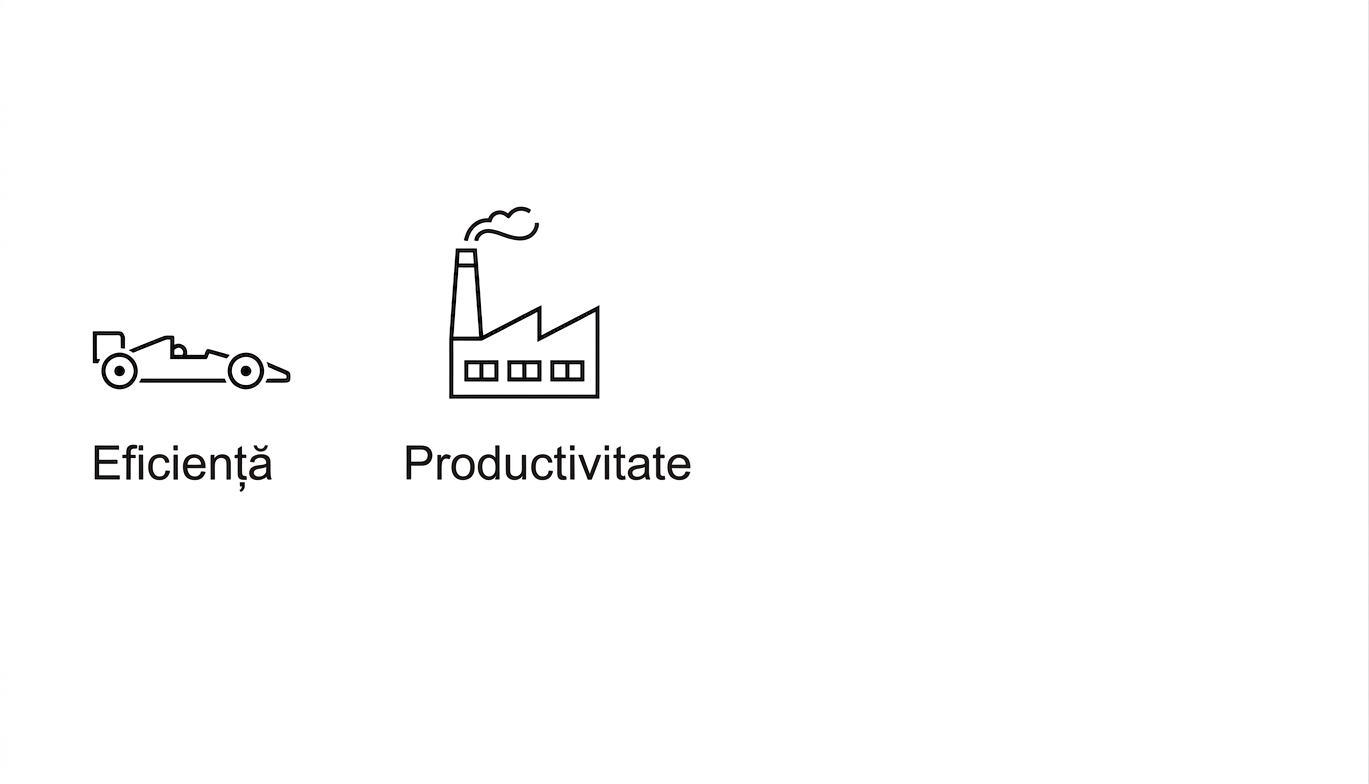 Eficiență. Productivitate.