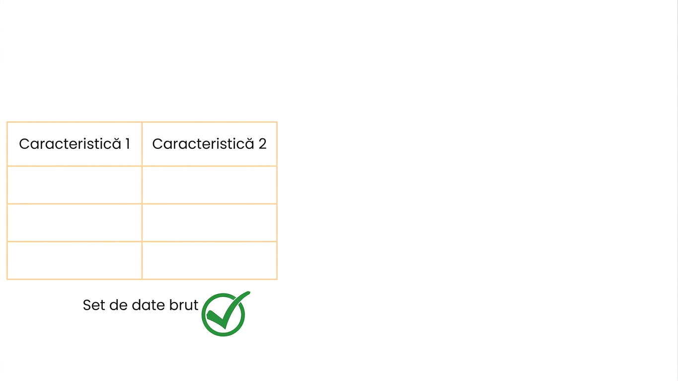 Atribute brute utilizabile ca atare
