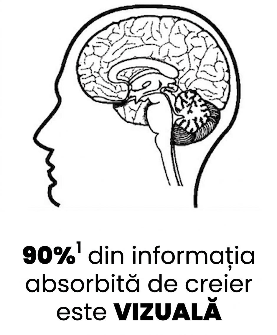 Imaginea unui creier uman