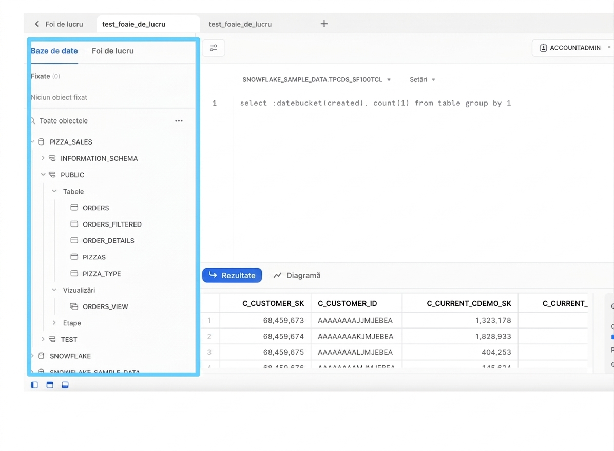 Panoul stâng al interfeței web Snowflake cu obiecte de baze de date și foi de lucru