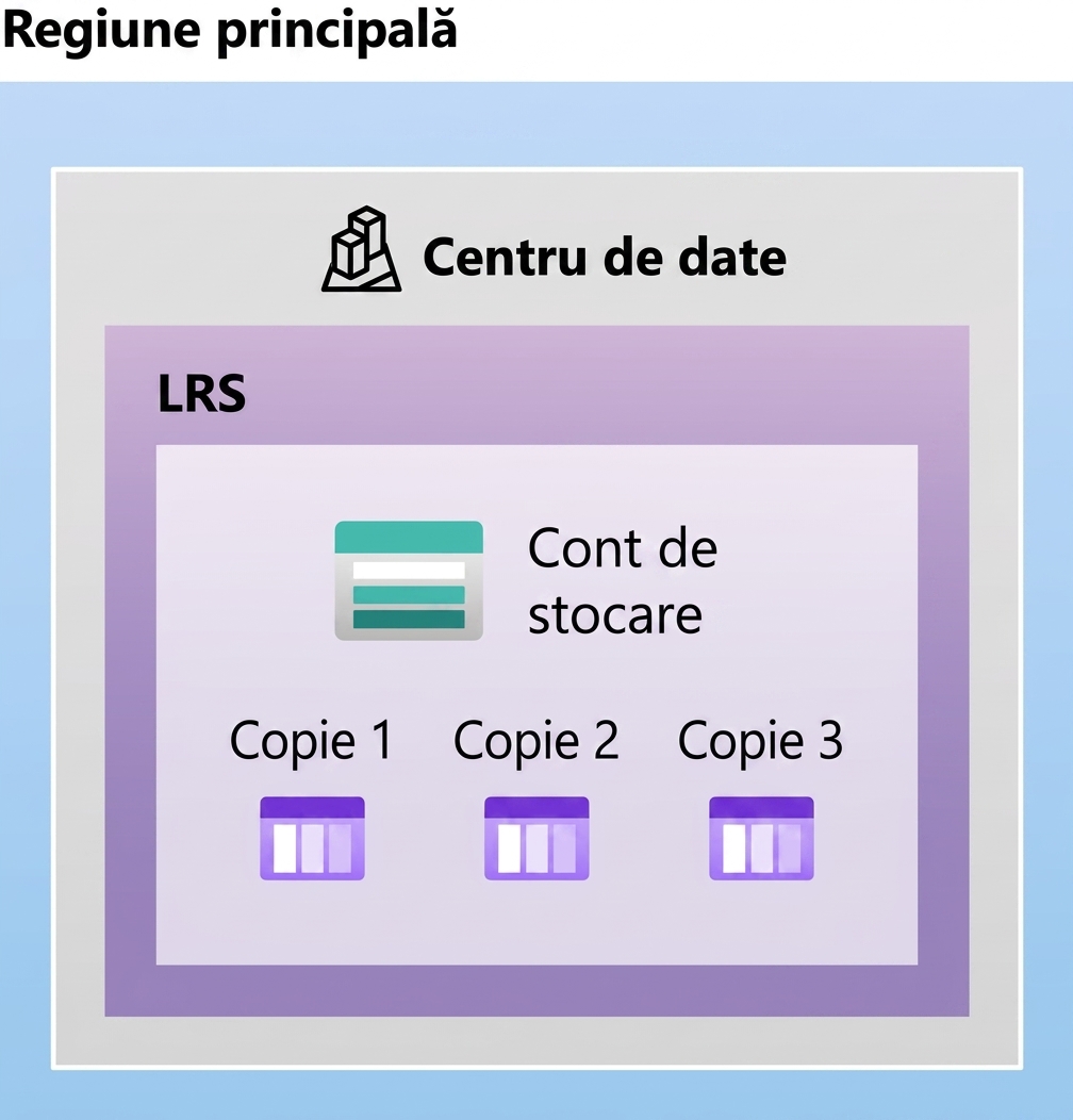 Imagine reprezentând configurația unui storage cu redundanță locală