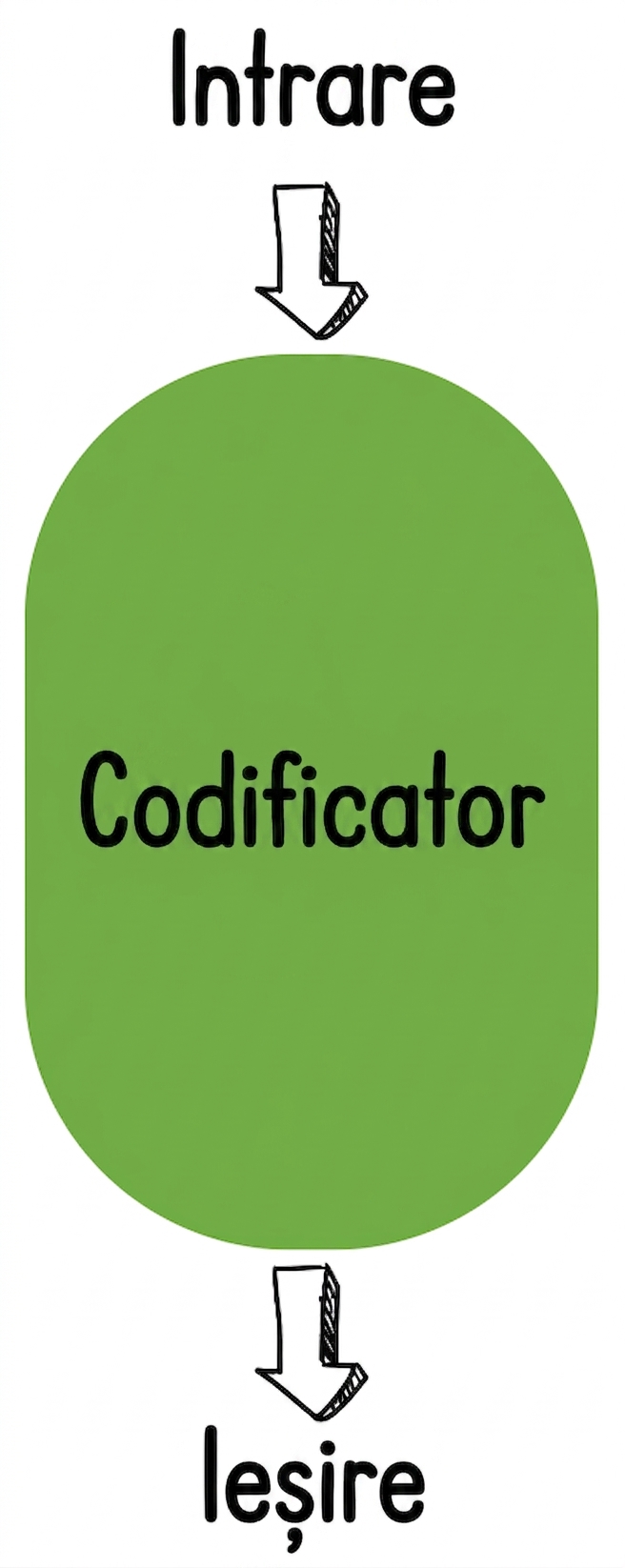 Ilustrație encoder-only