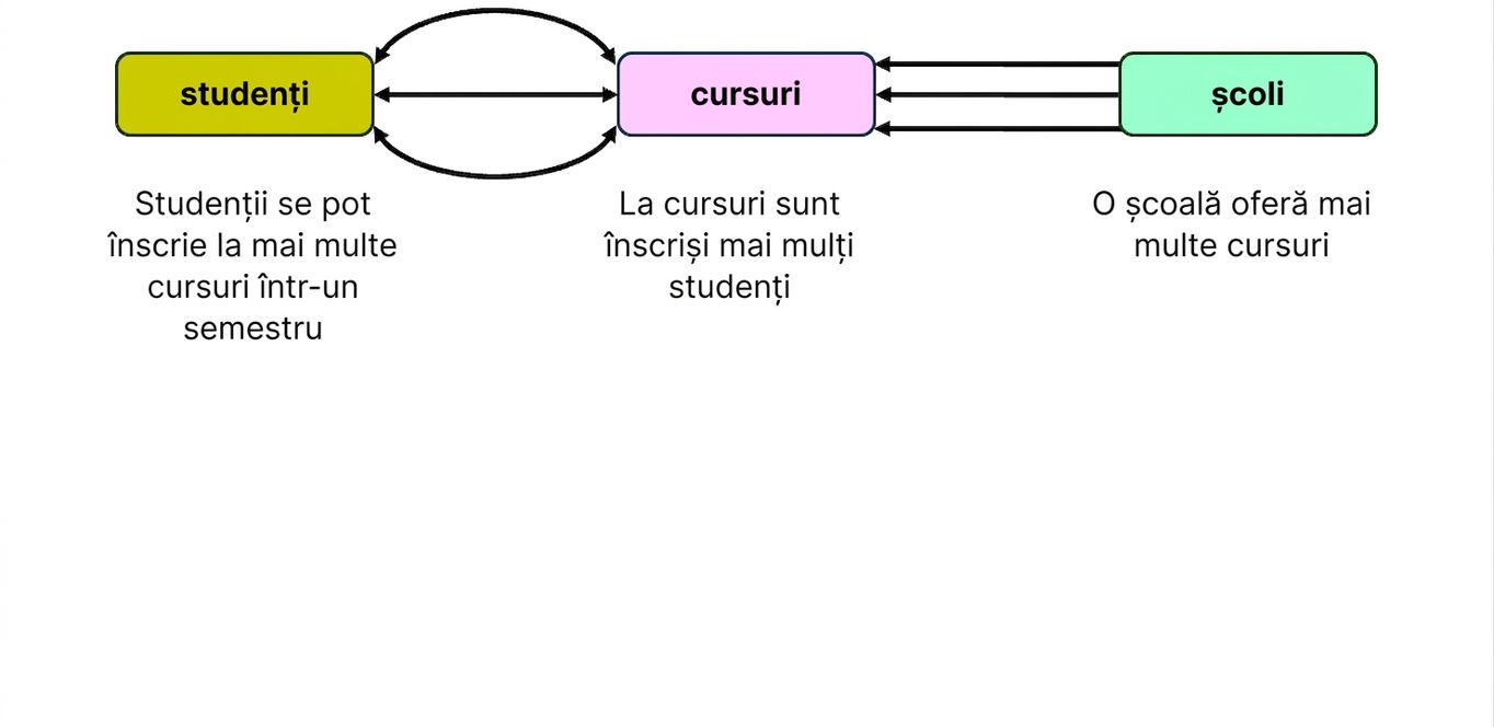 Interacțiunea entităților temei universitare