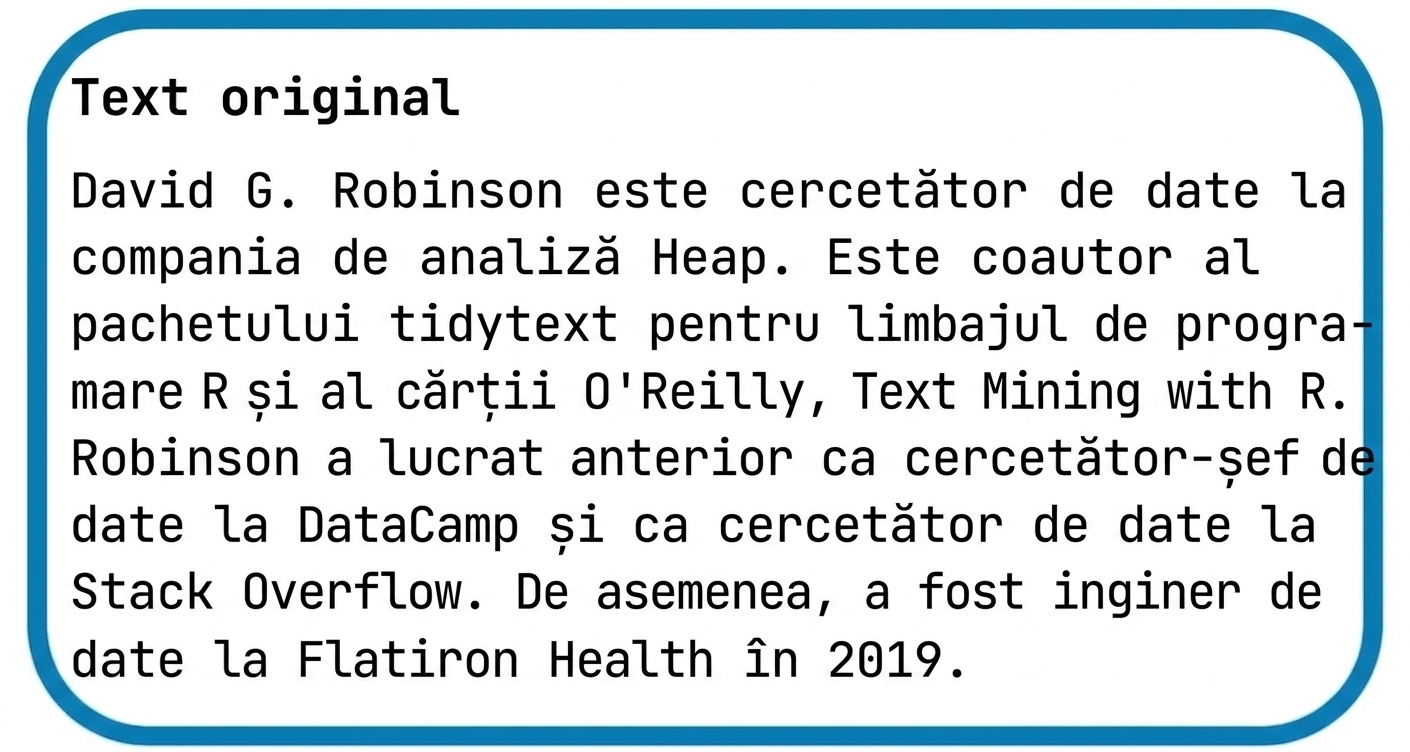 Text lung