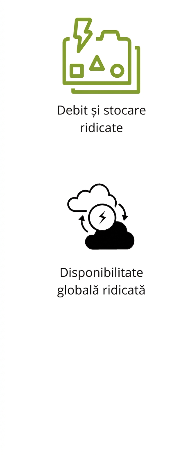 Pictograme reprezentând capacitate ridicată de transfer și stocare și disponibilitate globală ridicată.