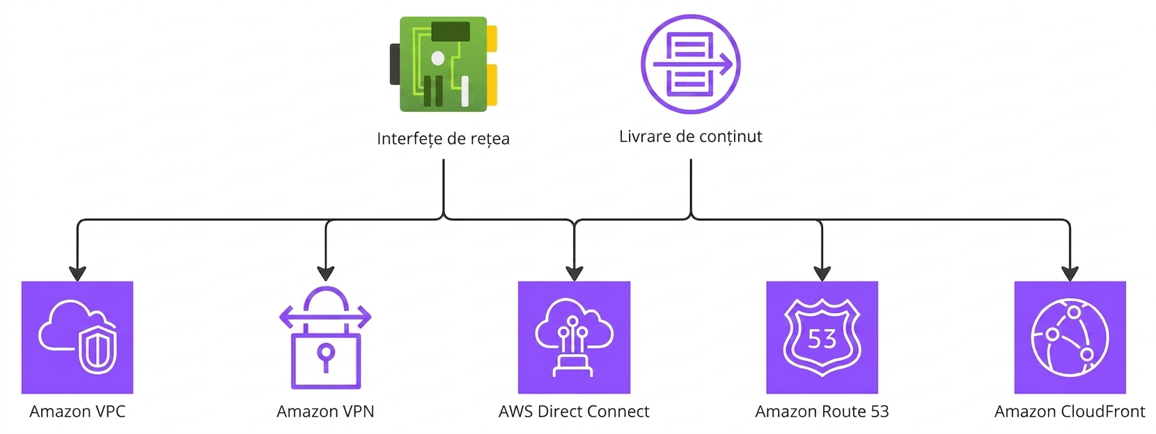 Diagramă ierarhică care evidențiază serviciile AWS pentru rețele și livrarea conținutului.