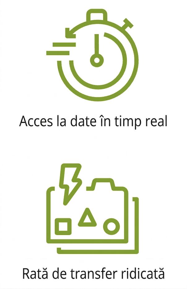 Două pictograme reprezentând acces la date în timp real și capacitate ridicată de transfer.