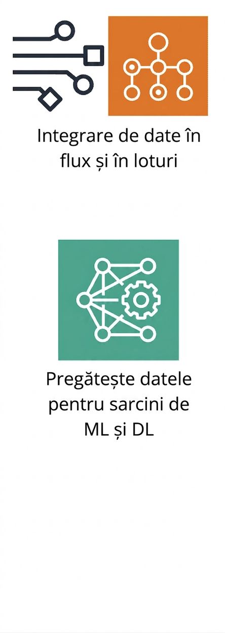 Pictogramă reprezentând pregătirea datelor pentru ML.