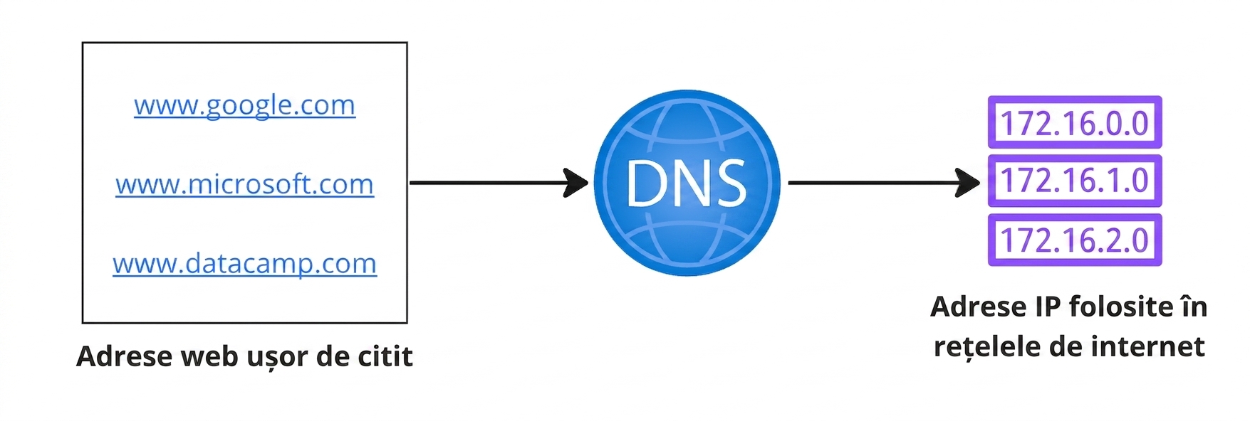 Diagramă flux care arată conversia adreselor web lizibile în adrese IP.