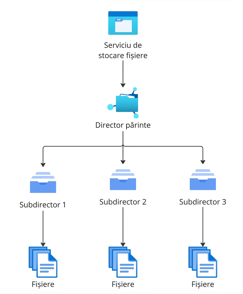 Diagramă ierarhică explicând structura stocării pe fișiere.