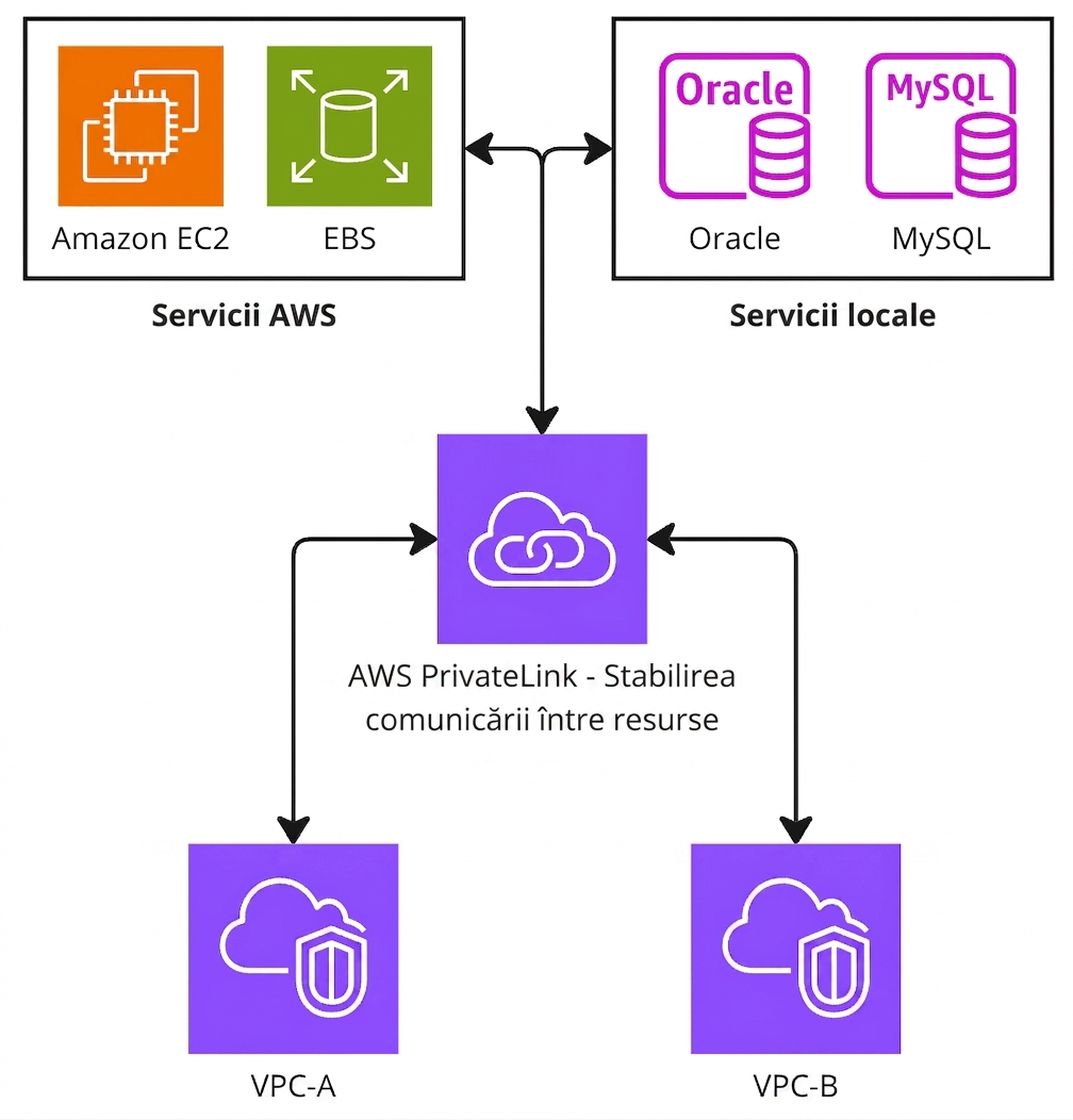 Diagramă arhitecturală care explică AWS PrivateLink.