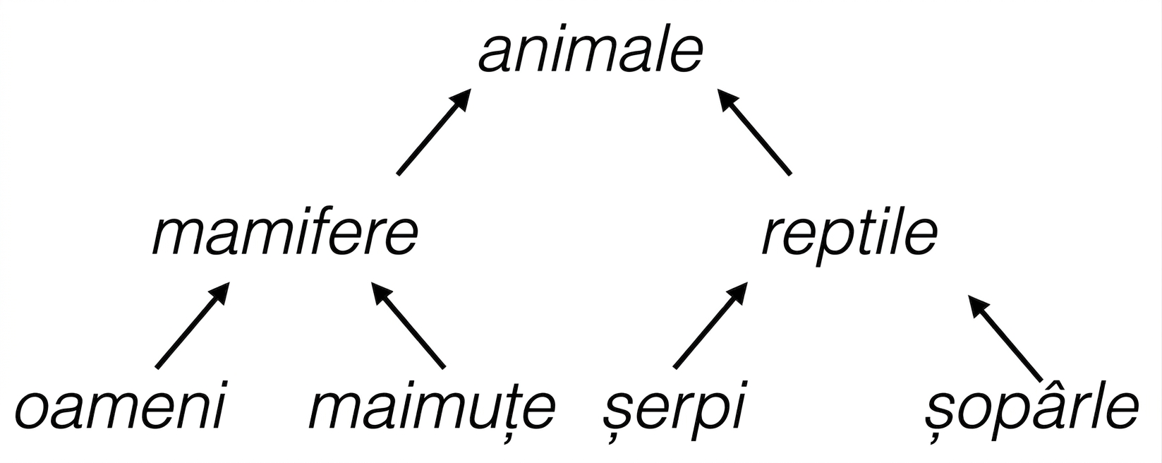 Arbore ierarhic al animalelor