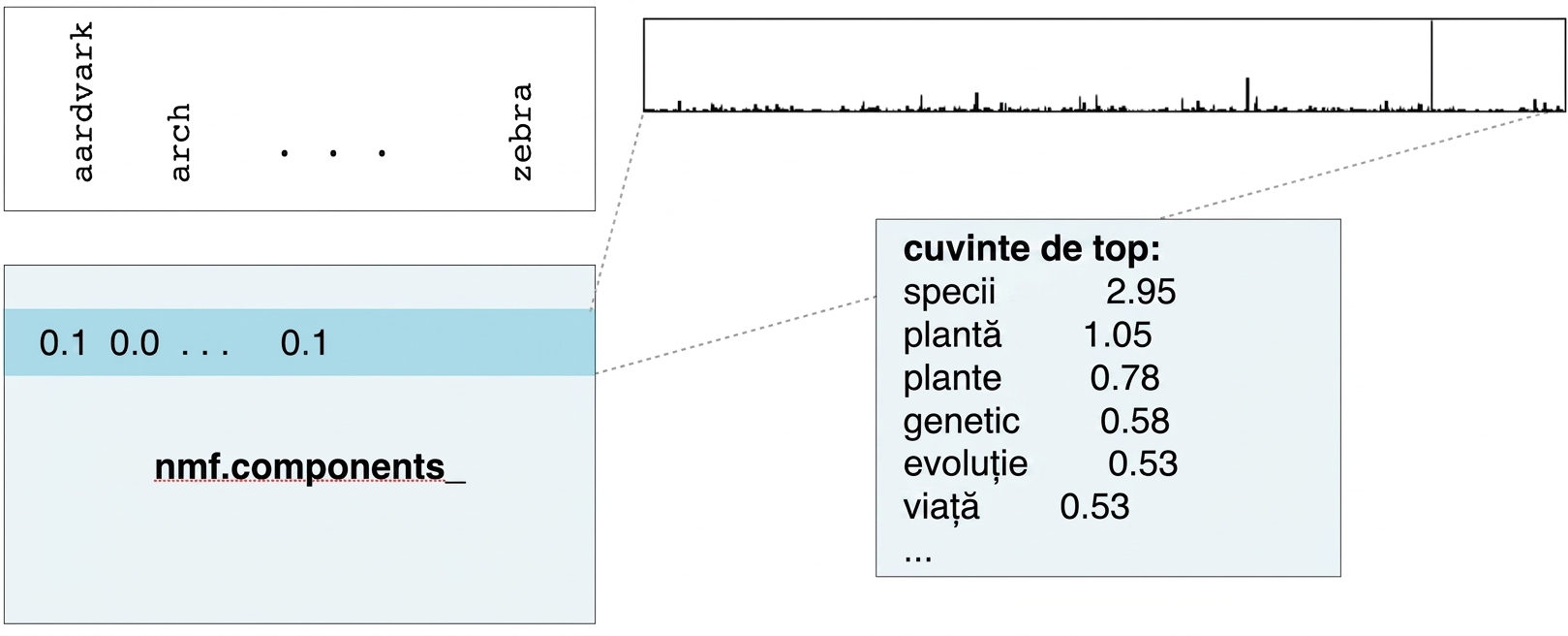 casetă cu cuvintele de top și valori: species 2.95, plant 1.05, plants 0.78, etc.