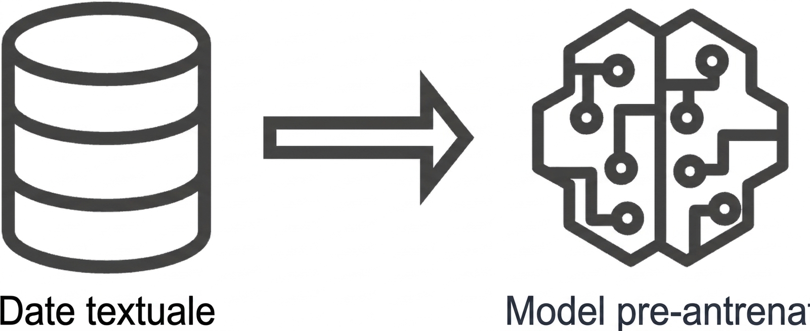 Imagine a unui model pre-antrenat