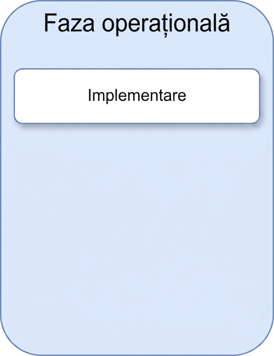 Implementare